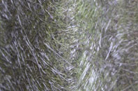 Burneston fibreglass roof work